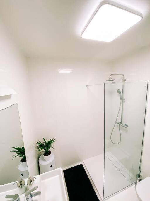 New Studio In Quiet Part Of The City Center Братислава Экстерьер фото